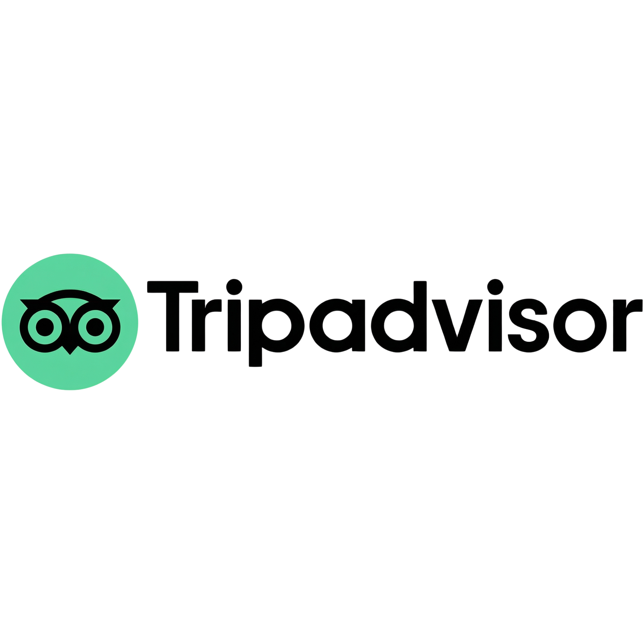 Tripadvisor travel platform listing